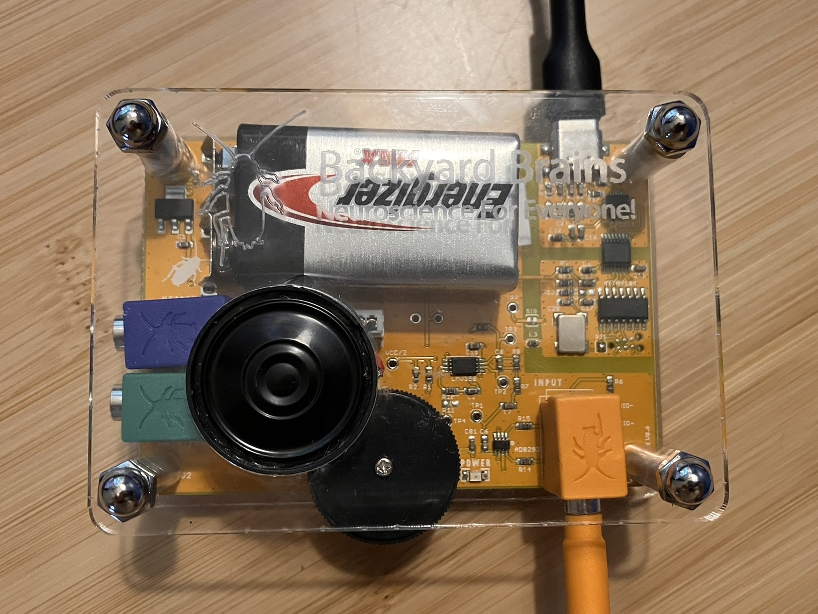 Turning muscle activity into music thumbnail